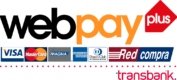 logo-web-pay-plus-1024x460